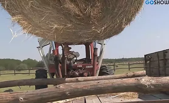 Passionate Rural Romance